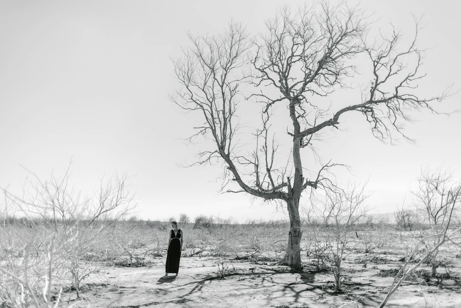 A solitary woman stands next to a barren tree in a vast, dry landscape.